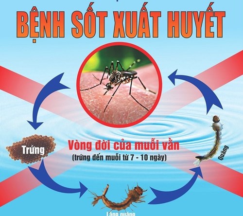 Chiến dịch tổng vệ sinh phòng chống sốt xuất huyết của đoàn thanh niên trường Tiểu học Sài Đồng
